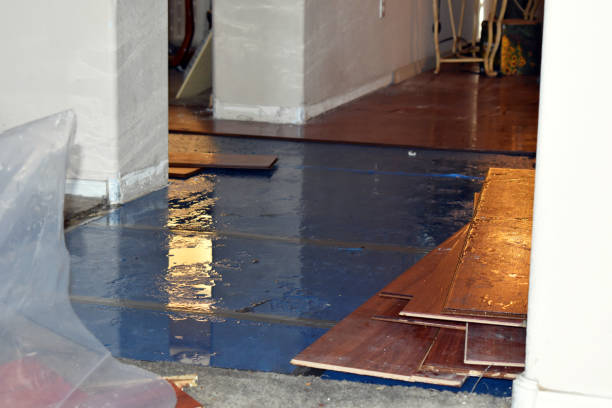 Professional Basement Flood Cleanup technician working in Bloomingdale, OH